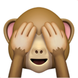 see-no-evil-monkey.png